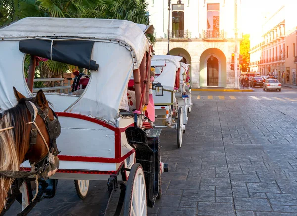 Μεξικό, Άλογα βαγόνια περιμένουν τους τουρίστες κοντά Central Plaza Grande στη Μερίδα μπροστά από τον καθεδρικό ναό της Μερίδας, το παλαιότερο καθεδρικό ναό στη Λατινική Αμερική — Φωτογραφία Αρχείου
