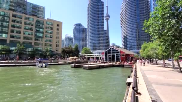 Vue panoramique sur la jetée 6 du port de Toronto, l'horizon financier de la ville et les condos au bord du lac — Video