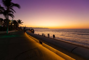 Ünlü Puerto Vallarta heykelleri, popüler bir turizm beldesi olan El Malecon 'da manzaralı bir okyanus kıyısında.