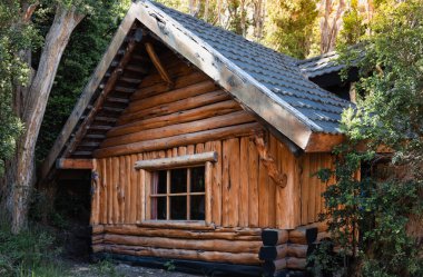 Arjantin, Patagonya, Bariloche Adası Victoria Adası ve Arrayanes Ormanı manzarası