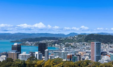 Wellington şehir merkezi, finans merkezi ve Lambton limanının panoramik silueti.