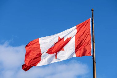 Ontario Gölü yakınlarındaki Toronto şehir merkezinde havada bir akçaağaç yaprağı dalgalanan kırmızı ve beyaz Kanada bayrağı. Kanada vatanseverliği ve kültürü