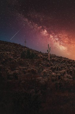 Saguaro. Geceleri Samanyolu ile Scottsdale Arizona 'da.