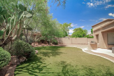 Pheonix Arizona 'nın arka bahçesi.