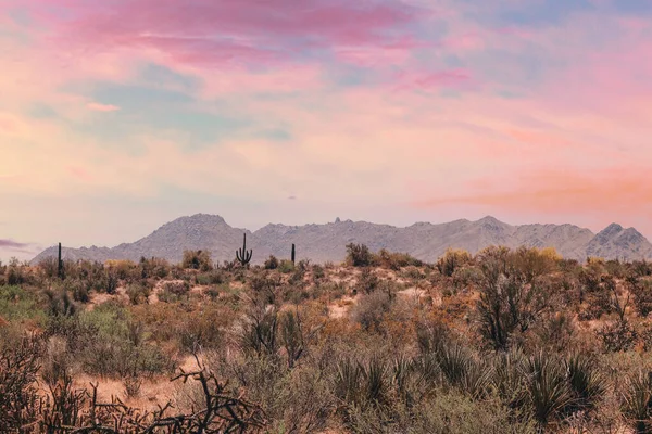 Scottsdale Arizona Wüste Pastell Sommer Sonnenuntergang — Stockfoto