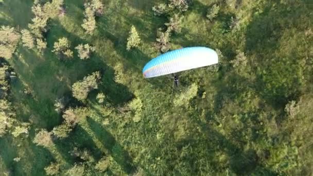 Vista aérea de los ojos de las aves del parapente Paracaídas volando sobre el campo de montaña verde — Vídeo de stock