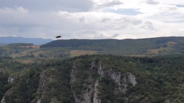 Griffon Vulture Flying Above Uvac River Canyon, beschermd natuurreservaat, Servië — Stockvideo