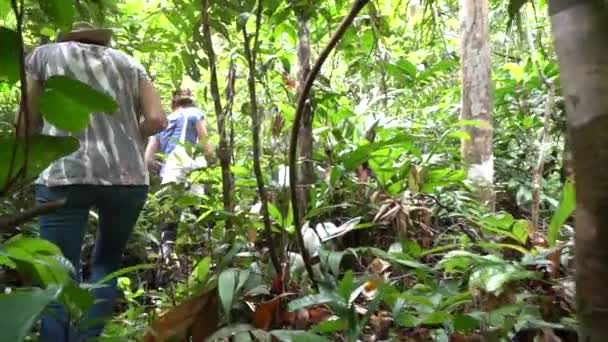 Turisti che camminano nella giungla dell'Amazzonia in spedizione urbana, Brasile — Video Stock