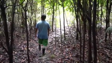 Amazonia Ormanında Yerel Tur Rehberi Brezilya Turizm Grubu, Yavaş Hareket