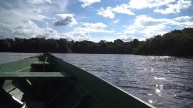 POV Teknesi Amazon Nehri 'nde Nehir Kıyısı Ormanı Manzaralı Su Yüzeyi