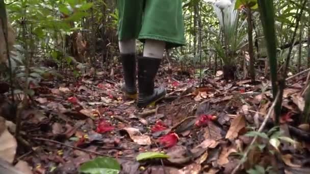 Brazílie, Nohy muže v gumových botách na stezce v amazonské džungli, pomalý pohyb — Stock video