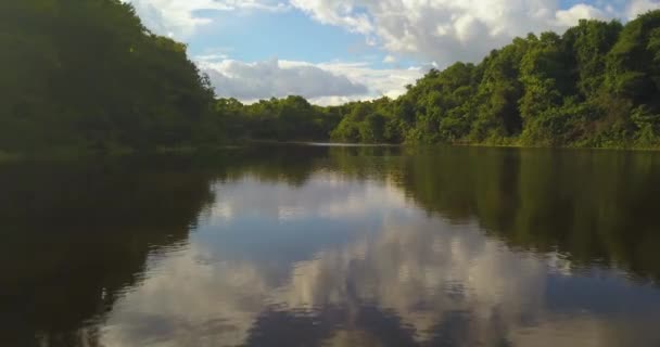 Amazone Rio Negro Rivier, Laag uitzicht op het water oppervlak met Jungle Rainforest — Stockvideo