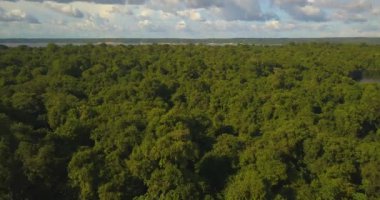 Gökyüzü ve Amazon Ormanı arasında, İHA Hava Görüntüsü, Brezilya