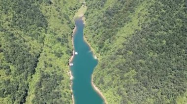 Sırbistan 'ın doğusundaki Zavoj Gölü Sahili Birdseye Havacılık Manzarası. Yeşil Peyzaj