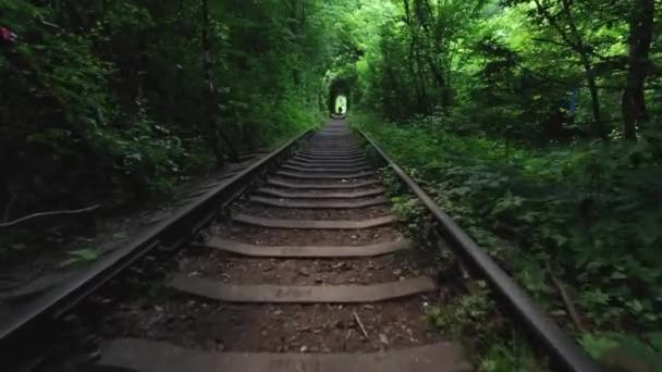 Клаван, Україна. Знаменитий тунель любові в зеленому покритті літнього кольору — стокове відео