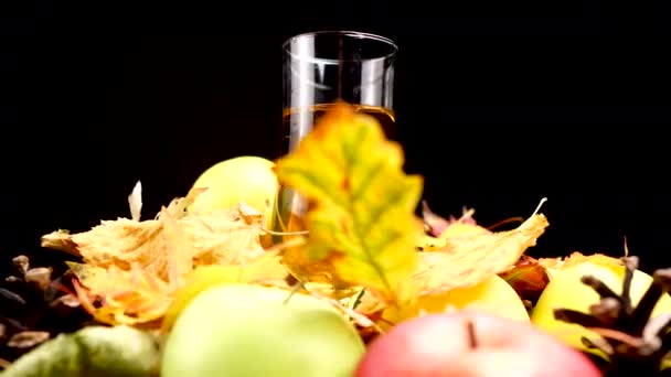 Fresh Apple Juice in Glass WIth Autumn Season Decoration, Colorful Leaves — 비디오