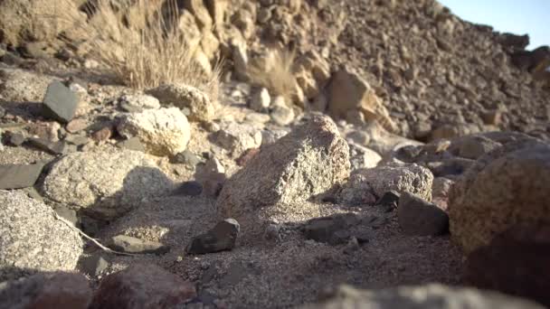 Zbliżenie męskich nóg spacerujących między skałami w suchym krajobrazie pustyni — Wideo stockowe