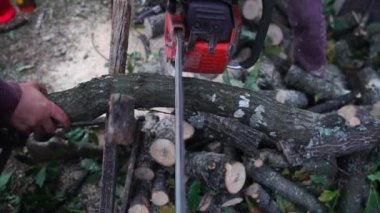 Elektrikli testereli ağaç dalı, Kış için yakacak odun hazırlama, Yavaş Hareket