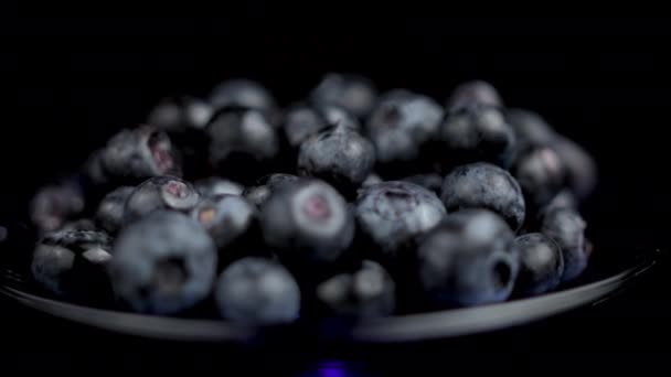 蓝莓在盘中的旋转，在孤立的黑色背景下的选择性聚焦闭合 — 图库视频影像