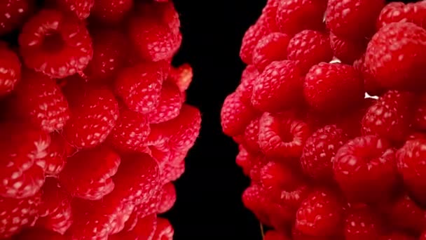 Fresh Red Rasperries Spinning on Black Background, Mirror Effect. Healthy Fruit — Stock Video
