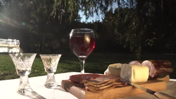 Reflejo tradicional balcánico con aguardiente de Rakija, vino tinto, jamón y queso — Vídeos de Stock