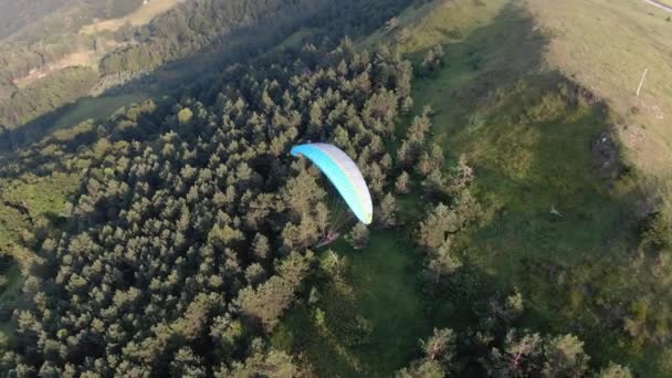 緑の針葉樹林の上を飛ぶパラグライダーパラシュートの空中ビューのトップダウン — ストック動画