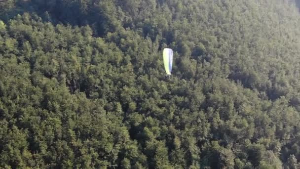 Vista aérea del parapente en paracaídas volando sobre el verde bosque de montaña — Vídeos de Stock