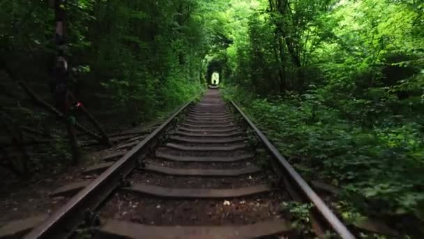 愛のトンネル、 Klevanウクライナ。夏の自然の中で古い鉄道,観光名所 — ストック動画