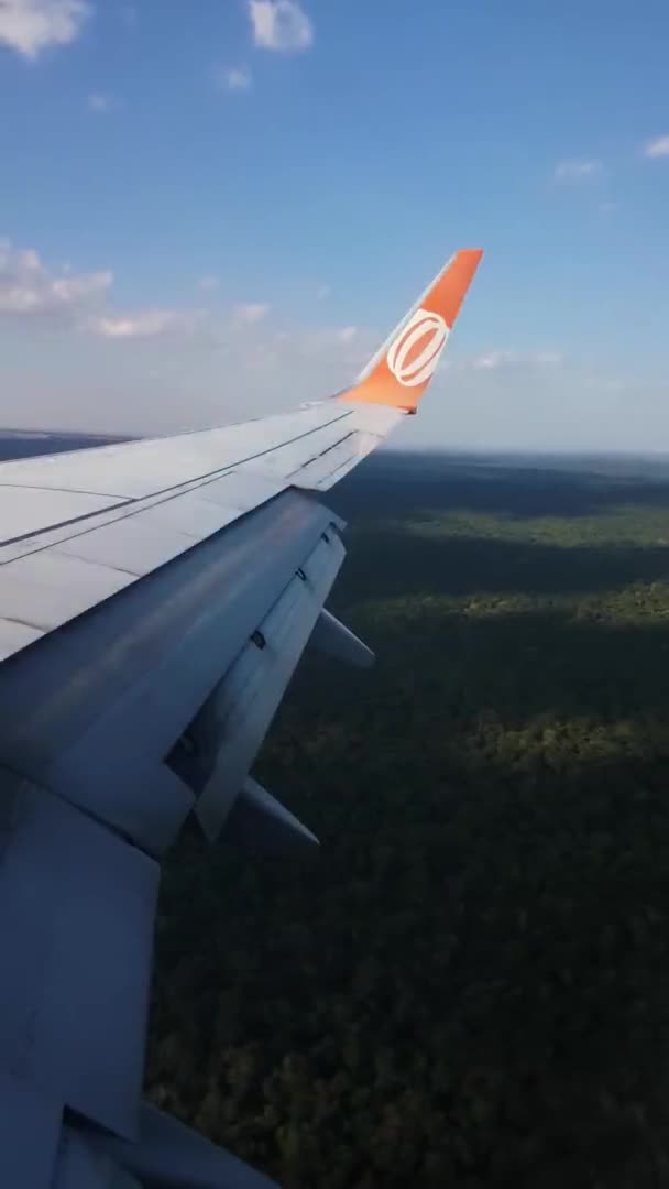 Verticaal uitzicht, Gol Airlines Brazil Boing 737 Vliegtuig dat boven de Iguazu rivier vliegt — Stockvideo