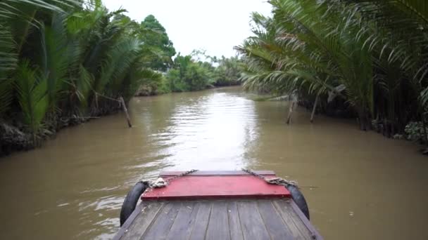 Barco flutuando no canal do rio Mekong Delta, Vietnã entre plantas tropicais POV. — Vídeo de Stock