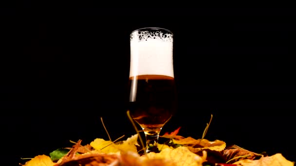 Glas van goud licht bier met herfstbladeren decoratie Spinning, zwarte achtergrond — Stockvideo