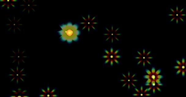 Stelle Ombre Iridescenti Nella Forma Fiori Volano Verso Spettatore — Video Stock