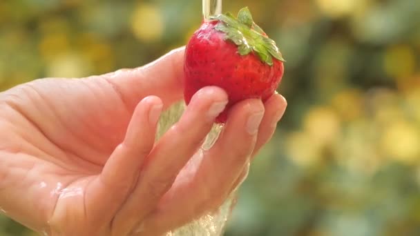 Aardbei in hand onder stromend water slow motion — Stockvideo