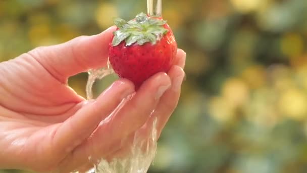 Jordgubbar i handen under rinnande vatten ultrarapid — Stockvideo