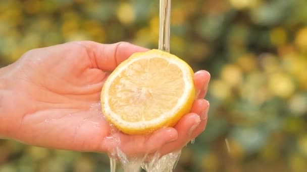 물이 흐르는 아래 손에 레몬 — 비디오