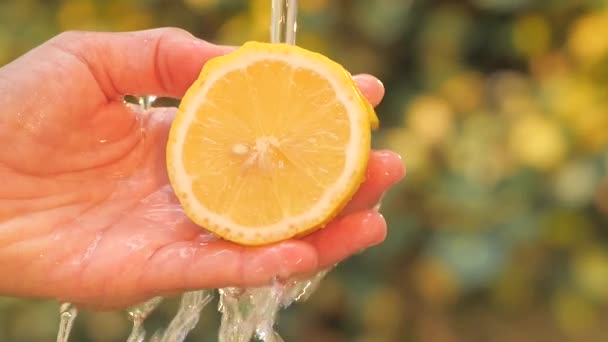 Zitrone in der Hand unter fließendem Wasser — Stockvideo