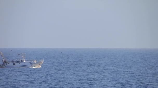 Barco y gaviotas — Vídeo de stock