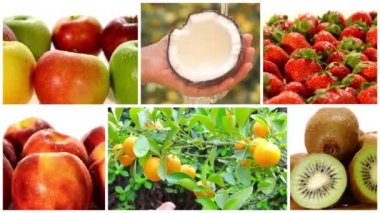 çeşitli meyve ve meyve ağaçları gibi montaj