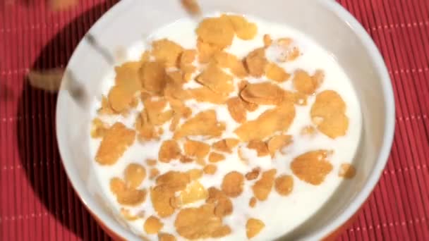 Copos de maíz vertiendo en un tazón lleno de leche fresca — Vídeo de stock