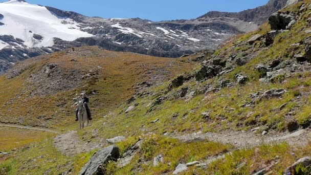 Alpine landschap met ruiter — Stockvideo