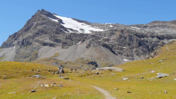 Альпійський пейзаж з вершник — стокове відео