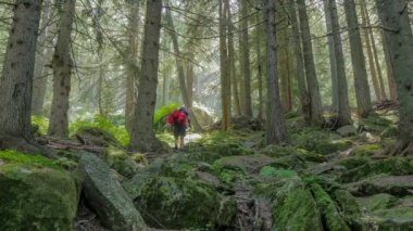 uzun yürüyüşe çıkan kimse erkek