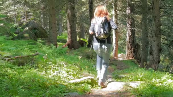 Hiker woman — Stock Video