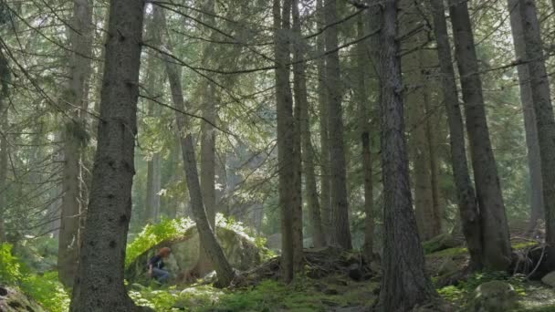 Hiker woman — Stock Video