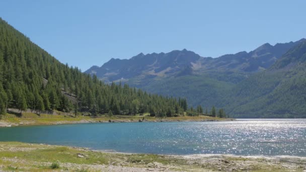Alpejski krajobraz w lecie — Wideo stockowe