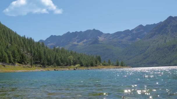 夏季高山景观 — 图库视频影像