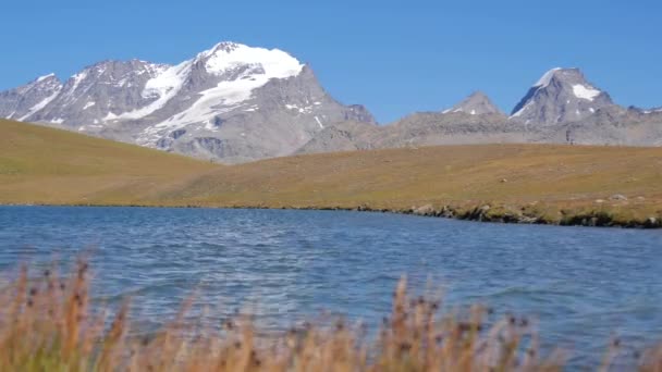 Alpine landschap in de zomer — Stockvideo