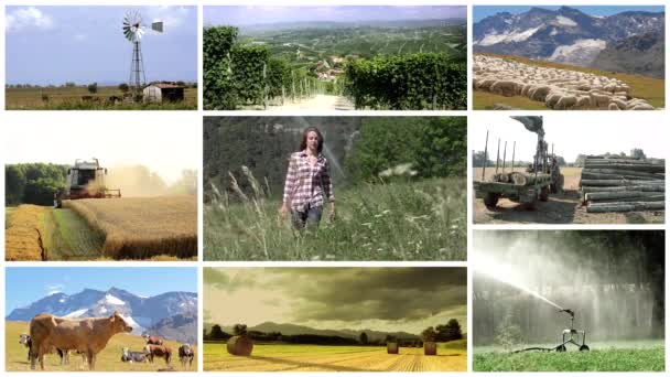 Montaggio agricolo, persone, animali e prodotti — Video Stock