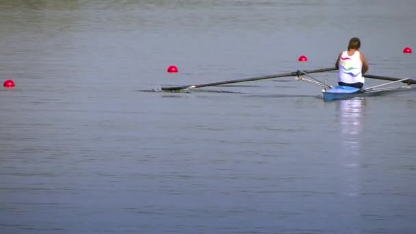 A rowing race — Stock Video