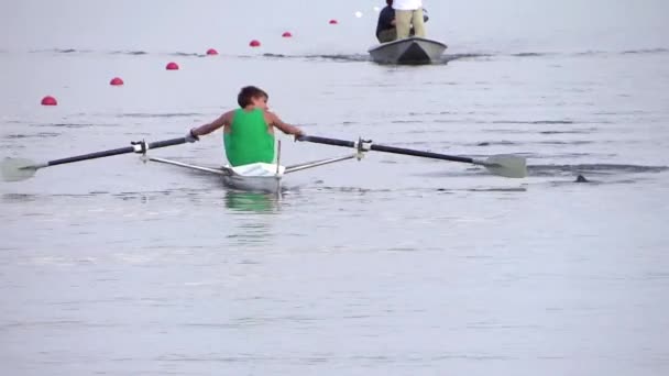 A rowing race — Stock Video